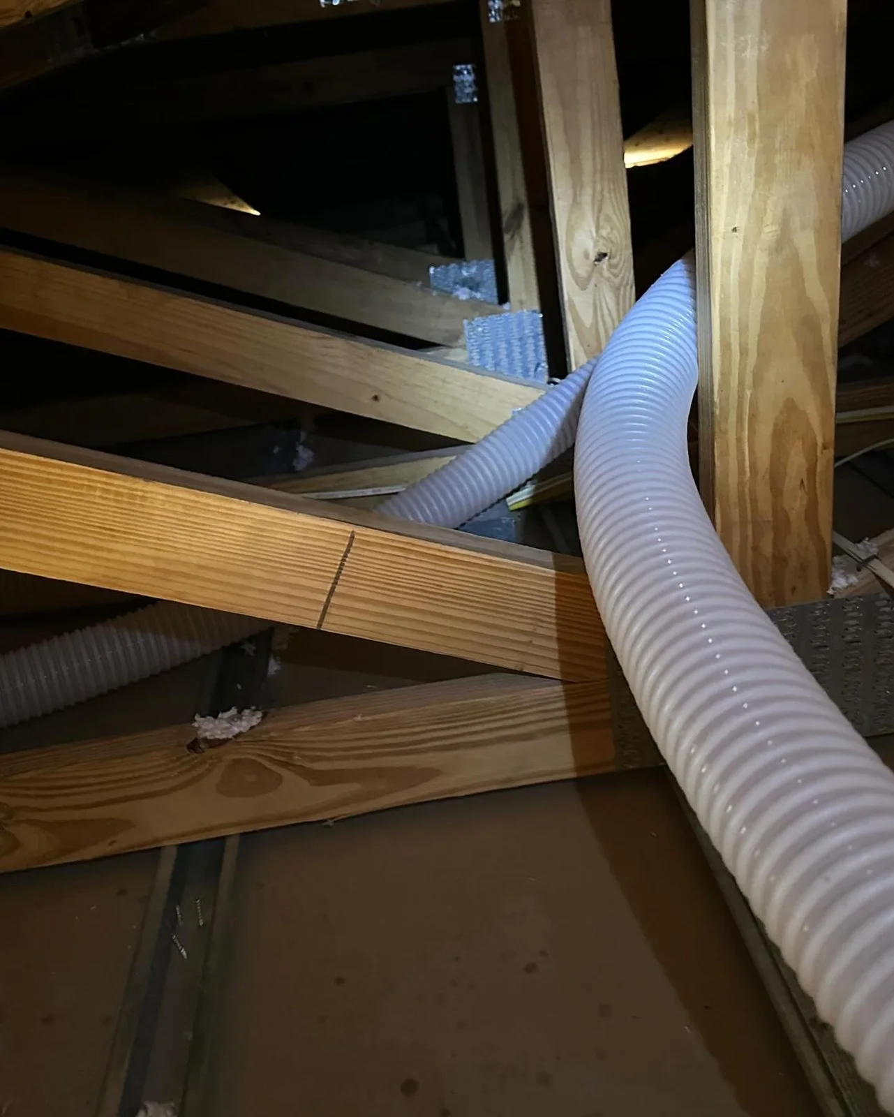 Insulation removal